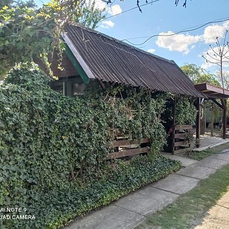 Apartament Olga Vendeghaz Abádszalók Zewnętrze zdjęcie