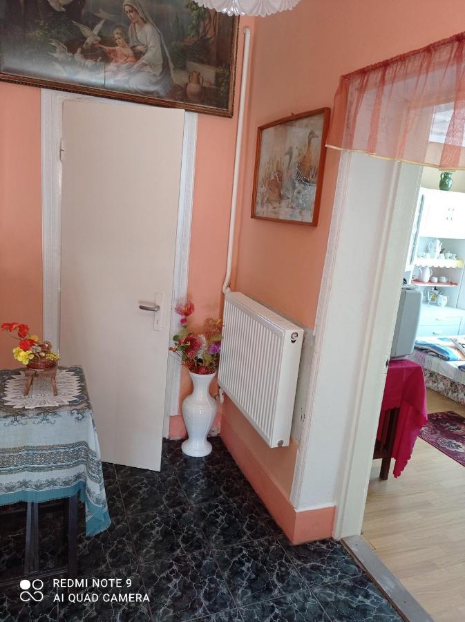 Apartament Olga Vendeghaz Abádszalók Zewnętrze zdjęcie