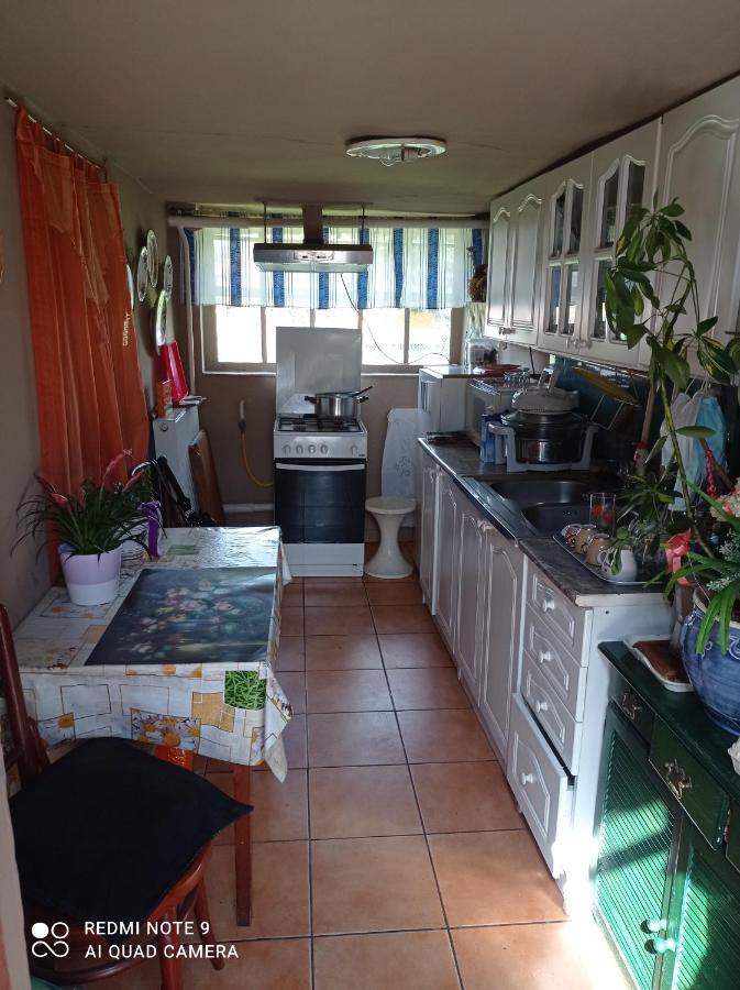 Apartament Olga Vendeghaz Abádszalók Zewnętrze zdjęcie